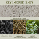 RECOVERY MUD PACK TO FOAM CLEANSER 110ml