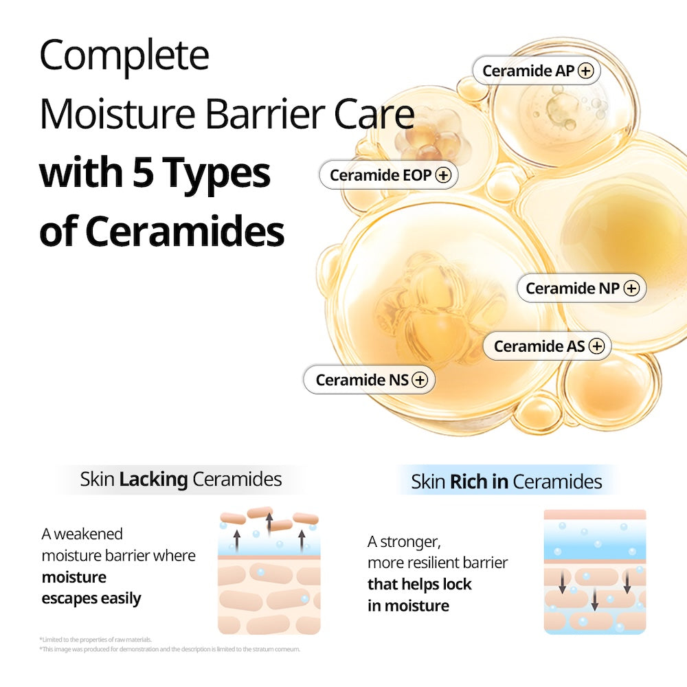 Rice Ceramide Capsule Cream 50ml