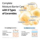 Rice Ceramide Capsule Cream 50ml