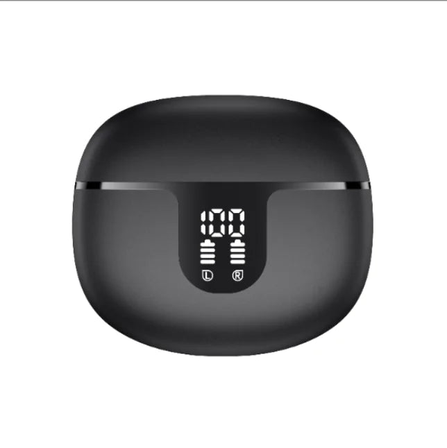True Wireless Earbuds with 60H Playback and LED Display